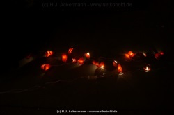 fotografie-22