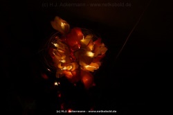 fotografie-25