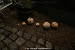 fotografie-46