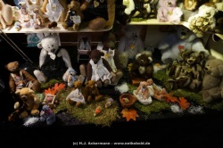 fotografie-15