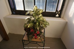 fotografie-25