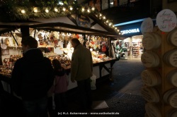 fotografie-11