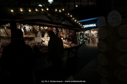 fotografie-12