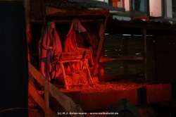 fotografie-39