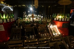 fotografie-6