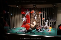 fotografie-17