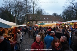 fotografie-26