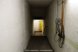 fotografie-6