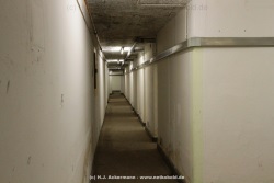 fotografie-57