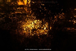 fotografie-32