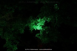 fotografie-45
