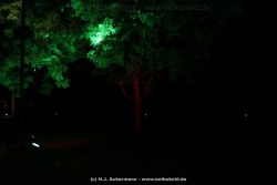 fotografie-47