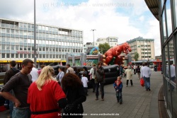 fotografie-2