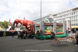 fotografie-1