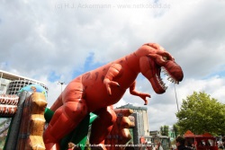 fotografie-11