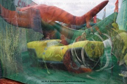 fotografie-14