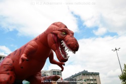 fotografie-18