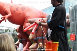 fotografie-12