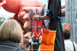 fotografie-26