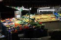 fotografie-28