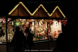 fotografie-31