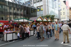 fotografie-18
