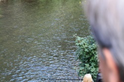 fotografie-3