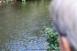 fotografie-4