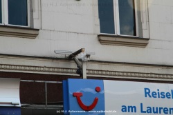 fotografie-17