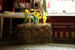 fotografie-10
