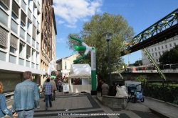 fotografie-5