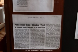 fotografie-31
