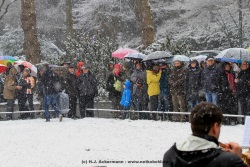 fotografie-1