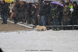 fotografie-23