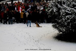 fotografie-7