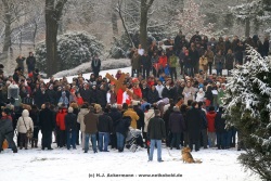 fotografie-8