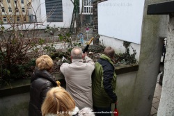 fotografie-14