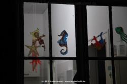 fotografie-19