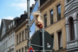 fotografie-106