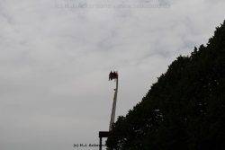 fotografie-113