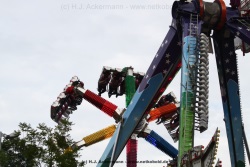 fotografie-7
