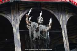 fotografie-46