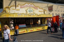 fotografie-39