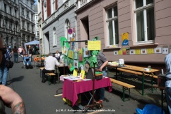 fotografie-16