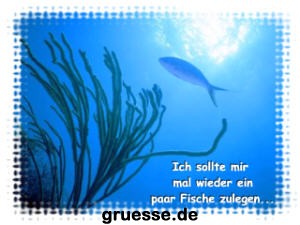 grusskarte-diverses-bekanntmachungen-k_003