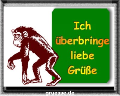 grusskarte-diverses-tiere-k_017