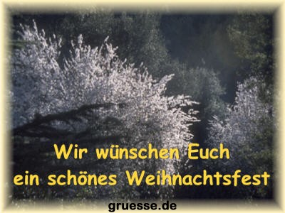 grusskarte-festtage-weihnachten-fotos-k_009
