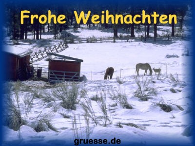 grusskarte-festtage-weihnachten-fotos-k_010