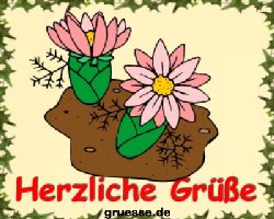 grusskarte-diverses-blumen-k_018