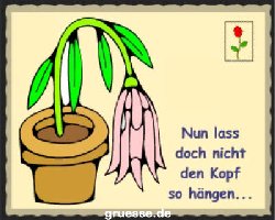 grusskarte-diverses-spassiges-k_003